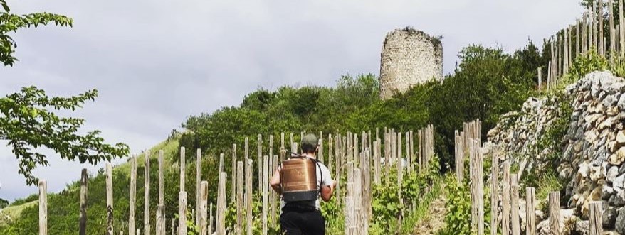 Balade autour du Livron et découverte oenologique en vélo électrique